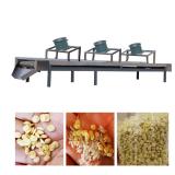 Automatic Nutrition Rice Fortified Kernels Rice Frk Processing Machine